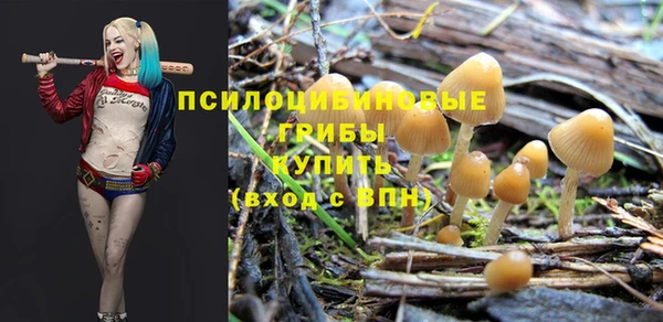 метадон Алзамай