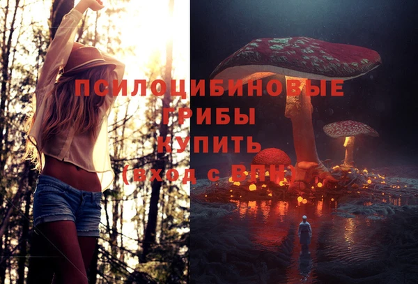 метадон Алзамай