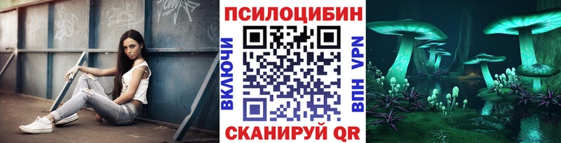Галлюциногенные грибы Psilocybine cubensis Нестеров